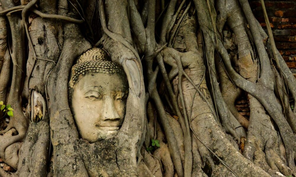 WAT MAHA THAT AYUTTHAYA TAILANDIA