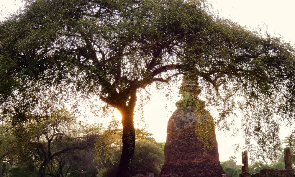 Wat Phra Si Sanphet AYUTTHAYA